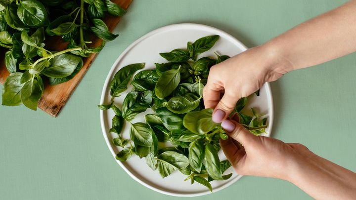 Cooking with Fresh Herbs: Tips and Tricks